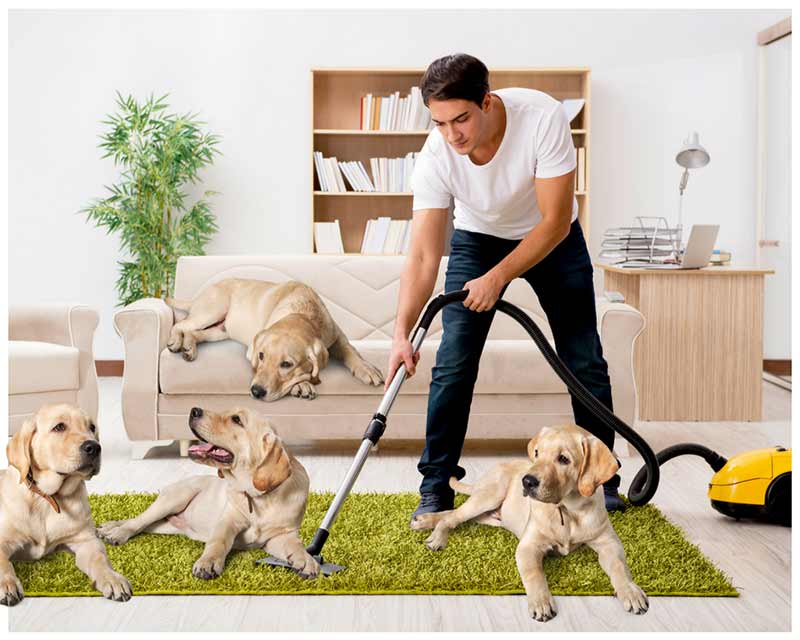 Best Vacuum For Pet Hair Buying Guide Pet Hair Vacuum Reviews