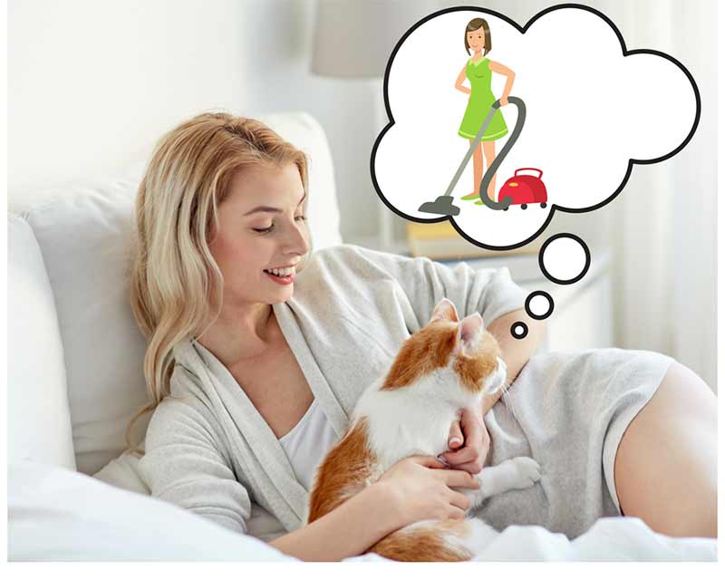 Best Vacuum For Pet Hair Buying Guide Pet Hair Vacuum Reviews